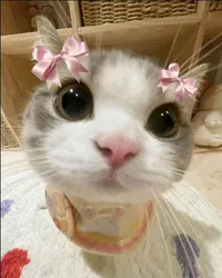 Cute cat illustration thanking the reader